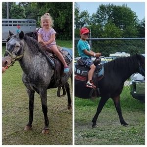 Meet your Posher, Mel